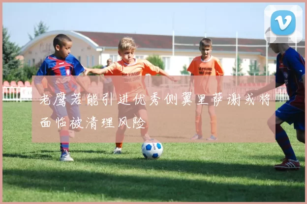 老鹰若能引进优秀侧翼里萨谢或将面临被清理风险